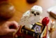 LEGO Harry Potter - Piatra Filozofală - Collectors' Edition foto