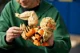 LEGO Pokémon - Arcanine foto
