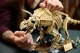 LEGO Jurassic World - Fosile de dinozaur: Triceratops foto