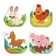 Puzzle 4 in 1 Dodo Animale de casa, 13 el. foto