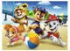 Puzzle Trefl Paw Patrol: Patru catelusi, 30 el. foto
