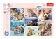 Puzzle Trefl In lumea pisicilor, 100 el. foto