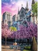Puzzle Trefl Catedrala Notre-Dame din Paris, 1000 el. foto