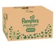 Chilotei Pampers Premium Care Pants 3 XXL (6-11 kg), 114 buc. foto