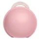 Set suzeta din latex si cutie mini BIBS Colour Petal&Baby Pink (0-6 luni) foto