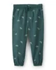 Carter's Set 2 piese Dino - hanorac cu gluga si pantaloni foto