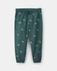 Carter's Set 2 piese Dino - hanorac cu gluga si pantaloni foto