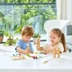 Настольная игра Hape Bamboo Rapido Запомни и собери foto