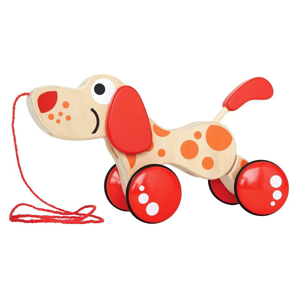 Catelus "Pull Along Puppy" Hape foto