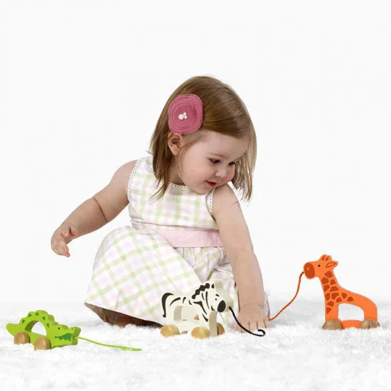 Деревянная игрушка Hape Жираф foto