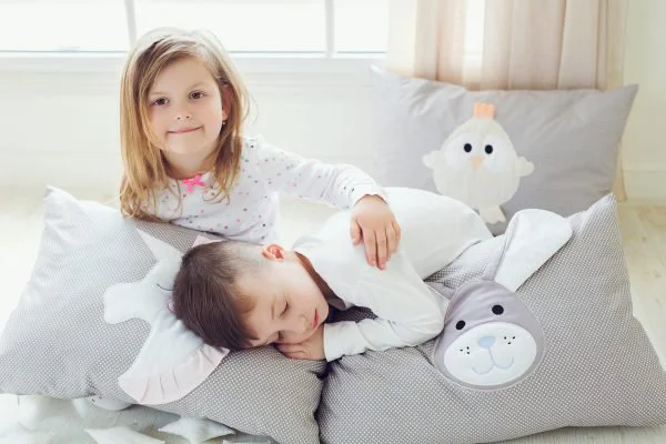 Чехол на подушку Specialbaby Junior Friends с вышивкой (40 * 60 см) foto