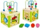 Cub educational LEANTOYS din lemn cu sorter si labirint