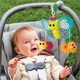Jucarie cu balamale Sensory B Kids Prietenii insecte foto