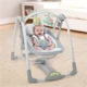 Музыкально-электронные качели 2 в 1 Bright Starts Ingenuity Raylan