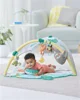 Развивающий игровой коврик Skip Hop Tropical Paradise foto