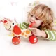 Catelus "Pull Along Puppy" Hape foto