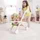 Carucior Hape foto
