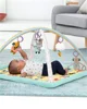 Развивающий игровой коврик Skip Hop Малыш и алфавит foto