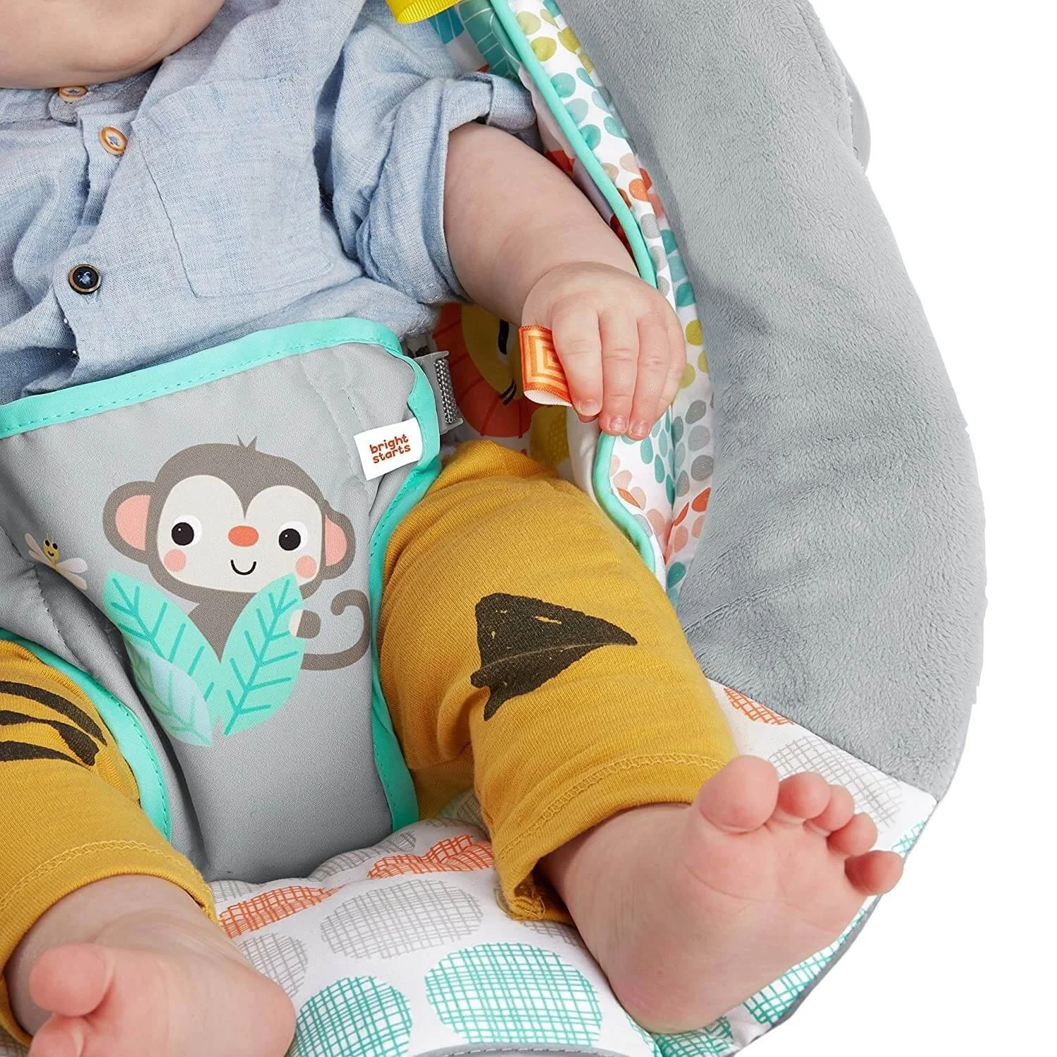Качели Bright Starts Whimsical Wild