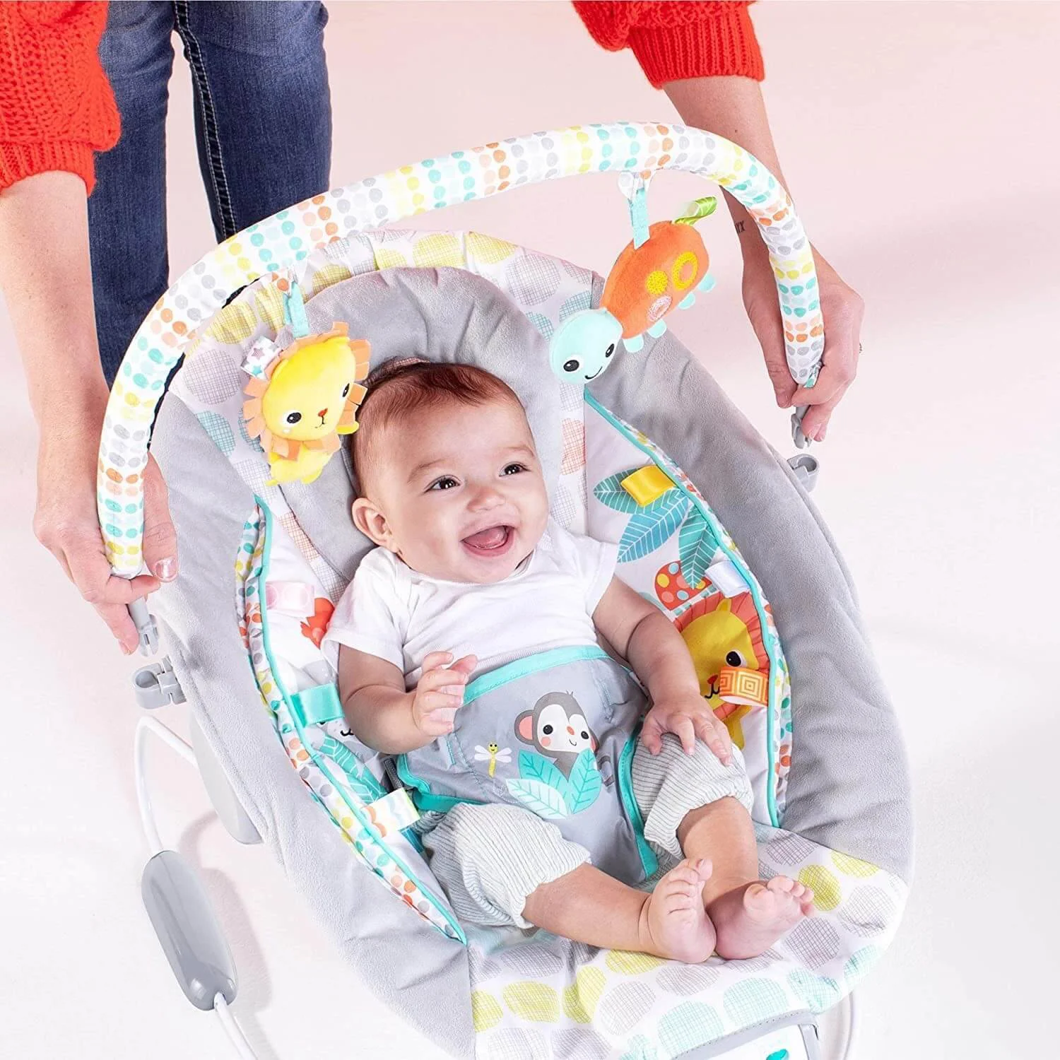 Качели Bright Starts Whimsical Wild