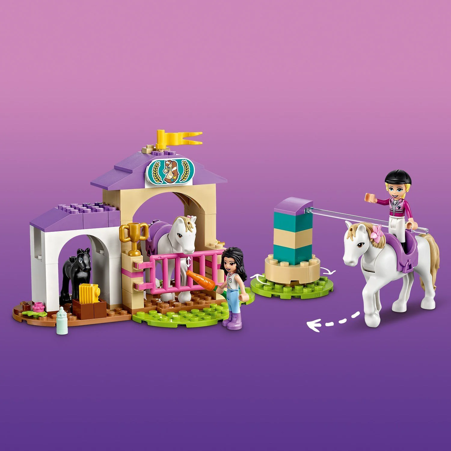 LEGO Friends Horse Training and Trailer foto