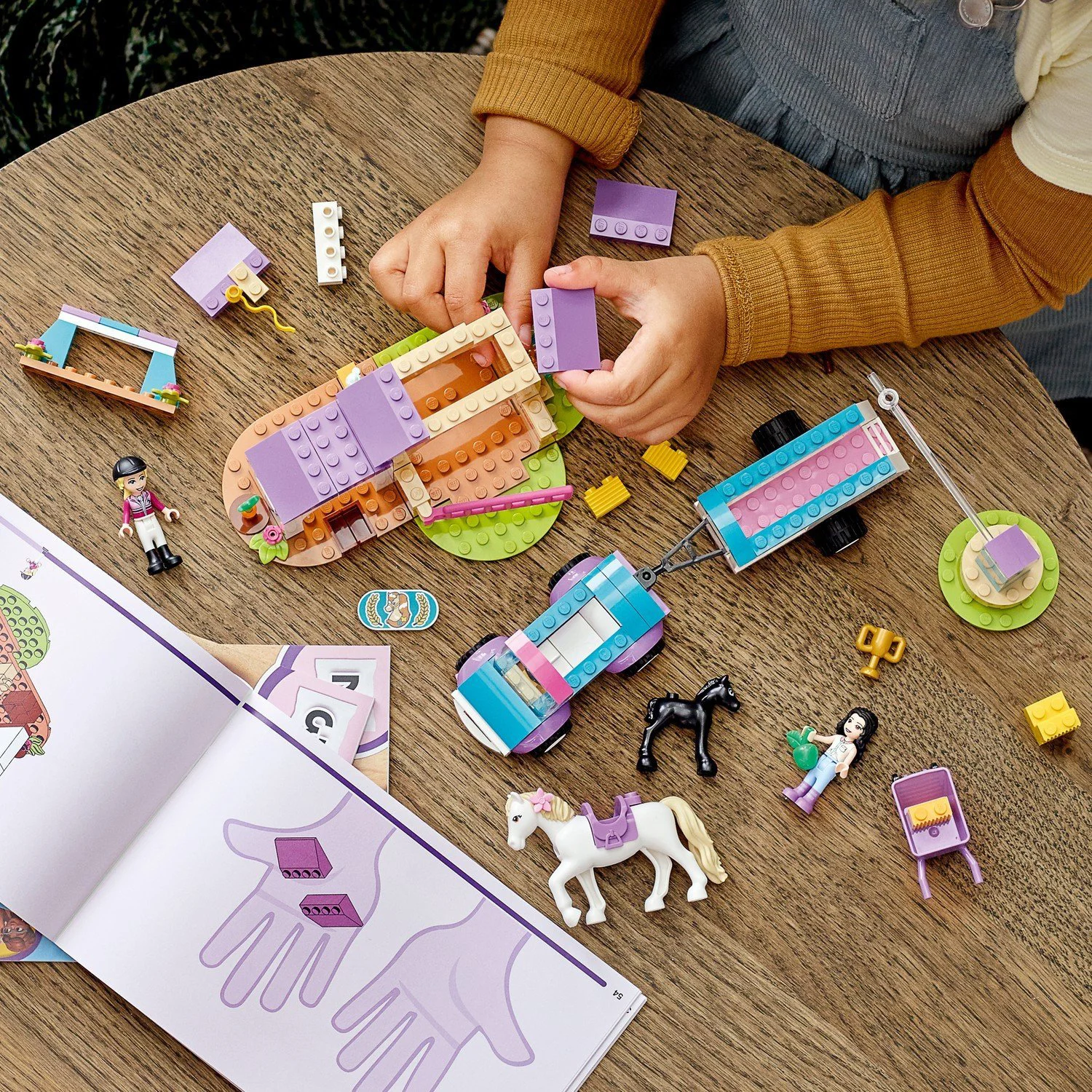 LEGO Friends Horse Training and Trailer foto