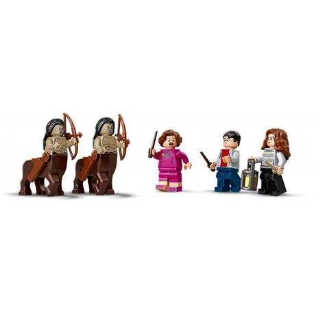 Lego Harry Potter Запретный лес, Грохх и Долорес Амбридж foto