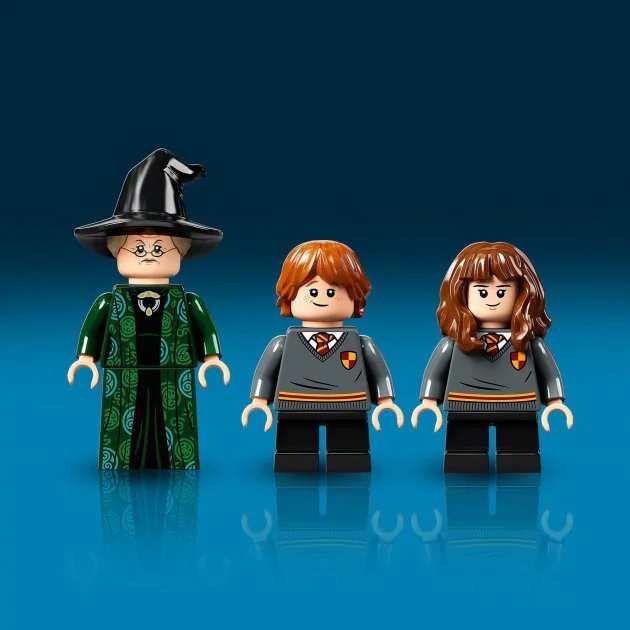LEGO Harry Potter Учёба в Хогвартсе, Урок трансфигурации foto