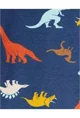 Carter's Set 2 piese bebe Pijamale Dinozauri foto