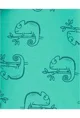 Carter's Set 2 piese Salopete Cameleon foto