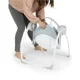 Музыкально-электронные качели Ingenuity Swingity Swing, Goji