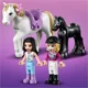 LEGO Friends Horse Training and Trailer foto