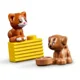 LEGO Friends Heartlake City Vet Clinic foto
