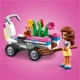 LEGO Friends Olivia's Flower Garden foto