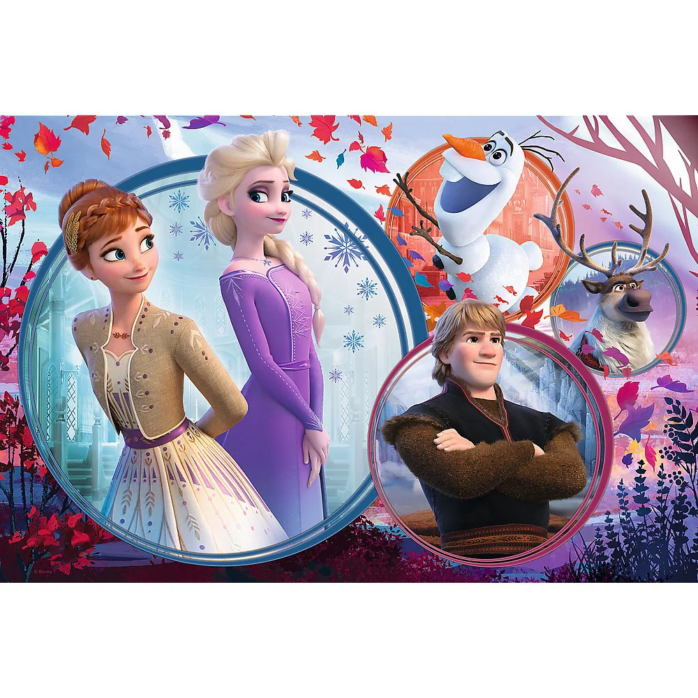 Puzzle Trefl Sister adventure / Disney Frozen II, 160 piese foto