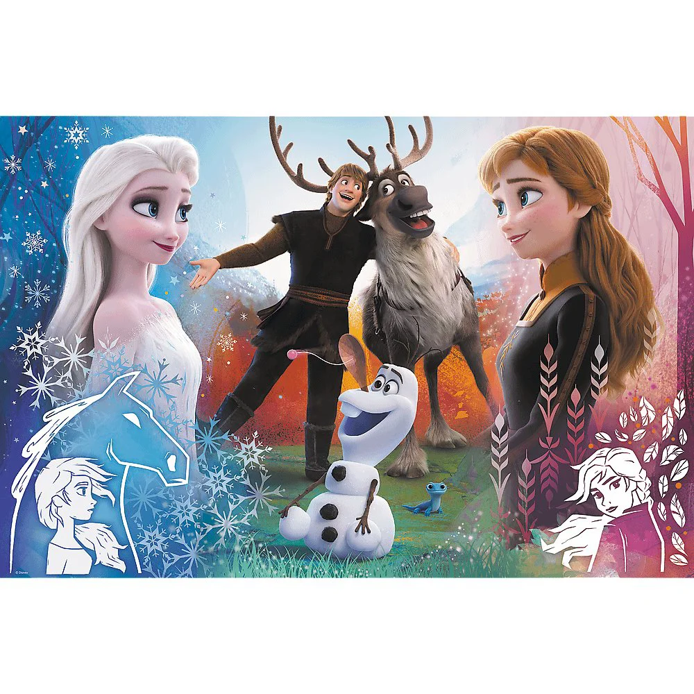 Puzzle Trefl Magic time / Disney frozen 2, 300 piese foto