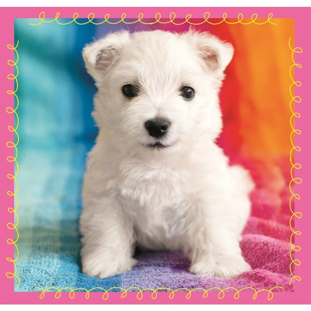 Puzzle Trefl 3 in 1 / Dogs in the bath, 20,36,50 piese foto