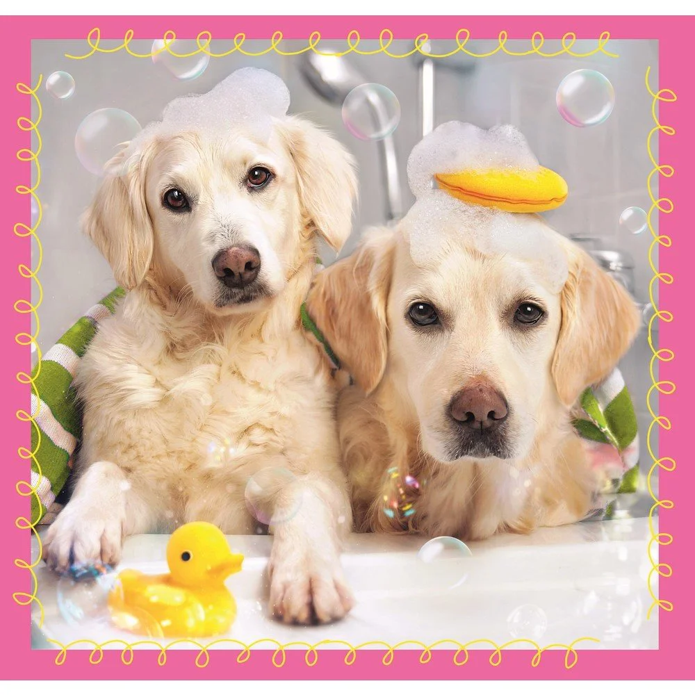 Puzzle Trefl 3 in 1 / Dogs in the bath, 20,36,50 piese foto