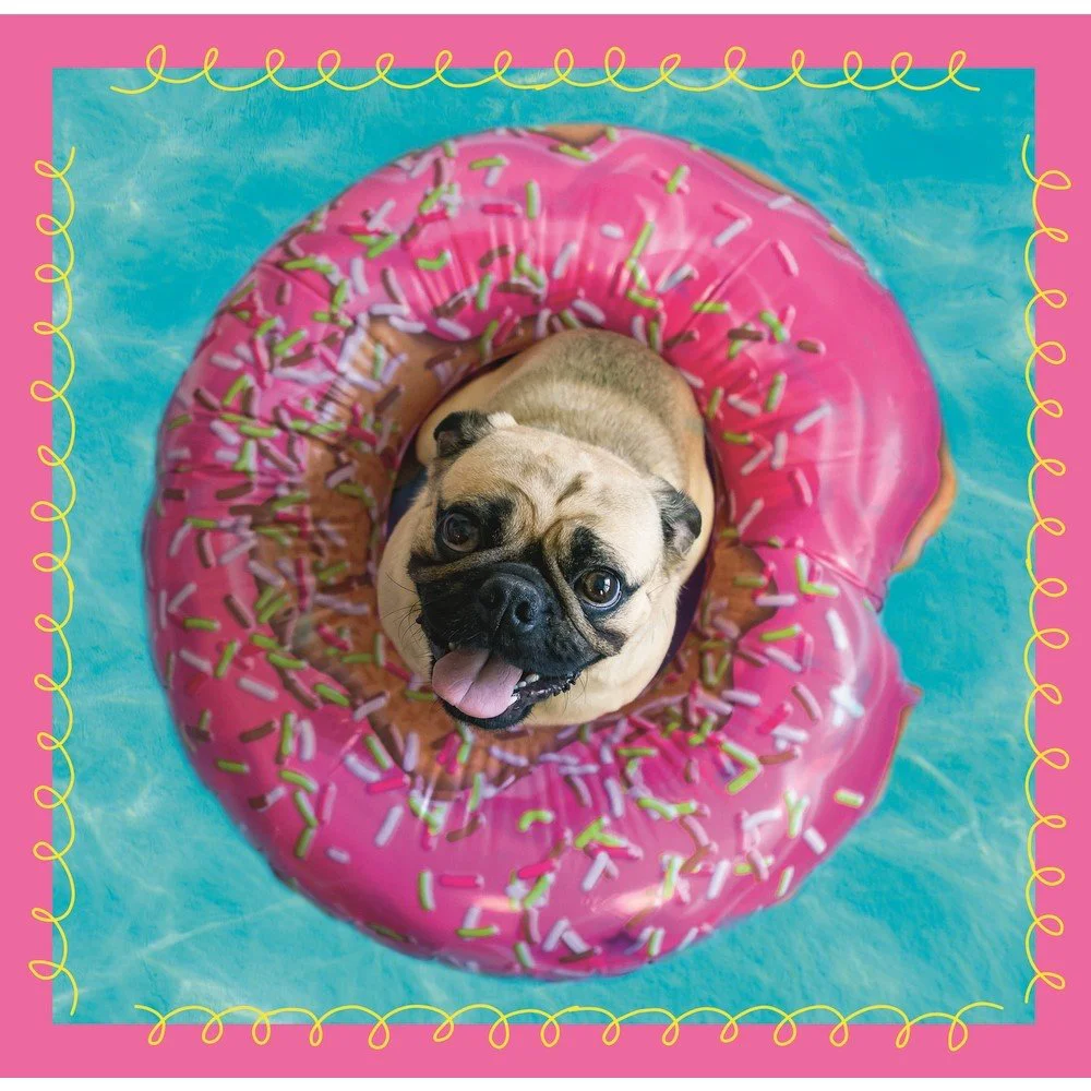 Puzzle Trefl 3 in 1 / Dogs in the bath, 20,36,50 piese foto
