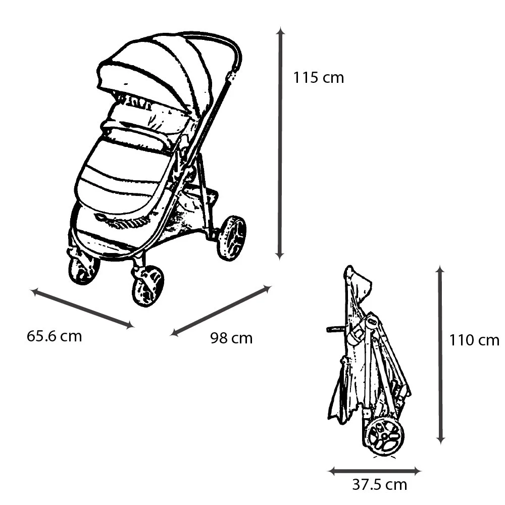 Carucior Graco Transform 2 in 1 Slate foto