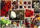 Puzzle Trefl Spices collage, 1000 piese foto