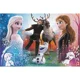 Puzzle Trefl Magic time / Disney frozen 2, 300 piese foto