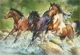 Puzzle Trefl Three wild horses, 1500 piese foto