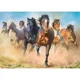 Puzzle Trefl Galloping herd of horses, 2000 piese foto