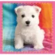 Puzzle Trefl 3 in 1 / Dogs in the bath, 20,36,50 piese foto