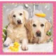 Puzzle Trefl 3 in 1 / Dogs in the bath, 20,36,50 piese foto