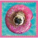 Puzzle Trefl 3 in 1 / Dogs in the bath, 20,36,50 piese foto