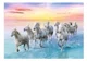 Puzzle Trefl Galloping white horses, 500 piese foto