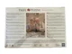 Puzzle Trefl Kittens, 500 piese foto