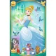 Mini puzzle Trefl Beautiful Princesses, 54 piese